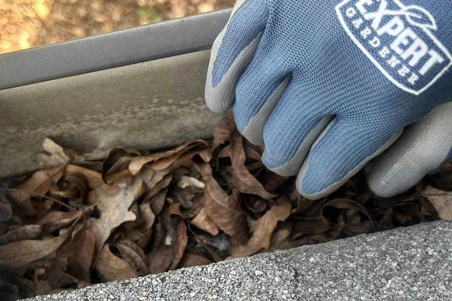 Gutter Cleaning Gallatin, TN